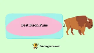 150+ Best Bison Puns 2025 Trending Edition