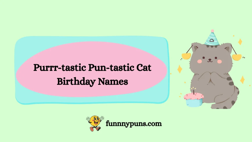 Purrr-tastic Pun-tastic Cat Birthday Names