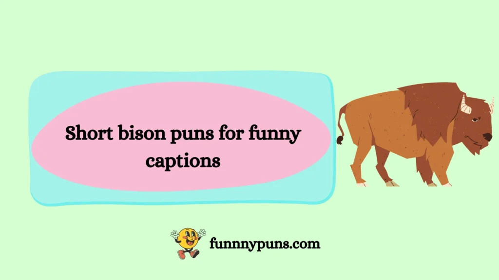 Short bison puns for funny captions