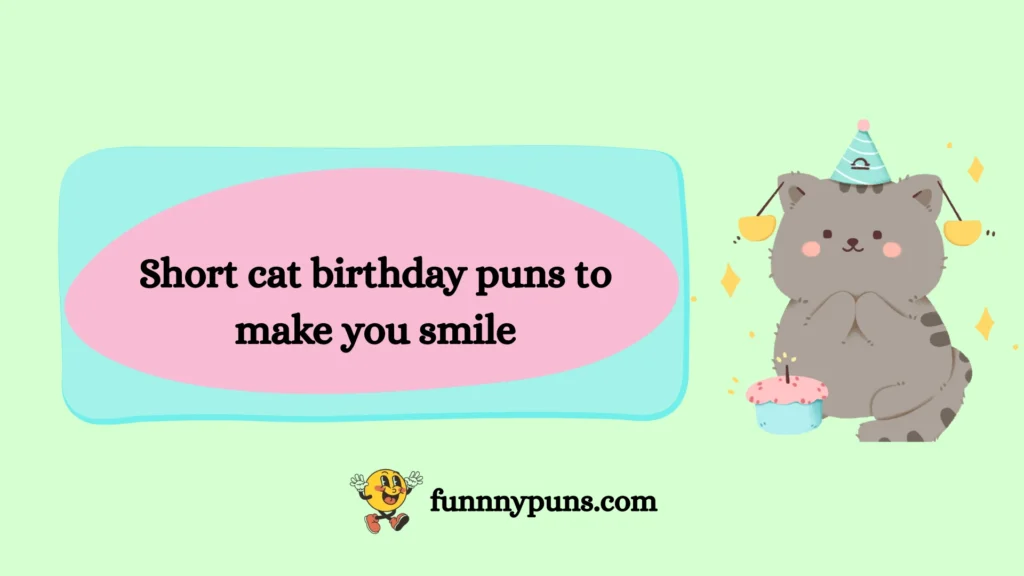 Short cat birthday puns to make you smile