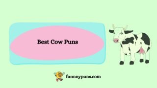 150+ Best Cow Puns [2025 Trending Edition]