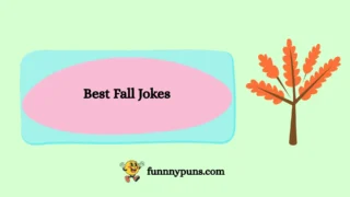 150+ Best Fall Jokes 2025 Trending Edition