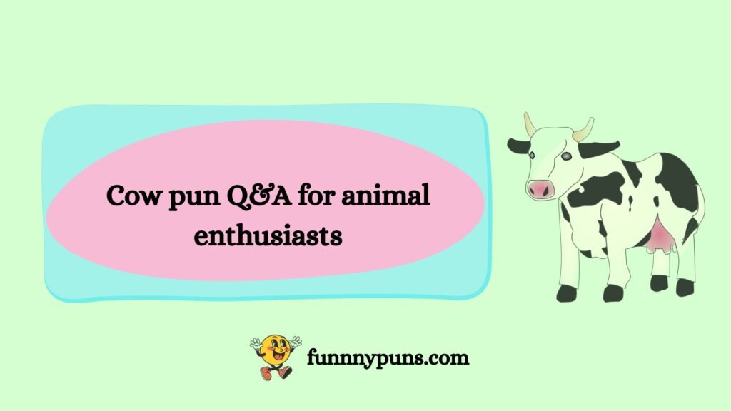 Cow pun Q&A for animal enthusiasts