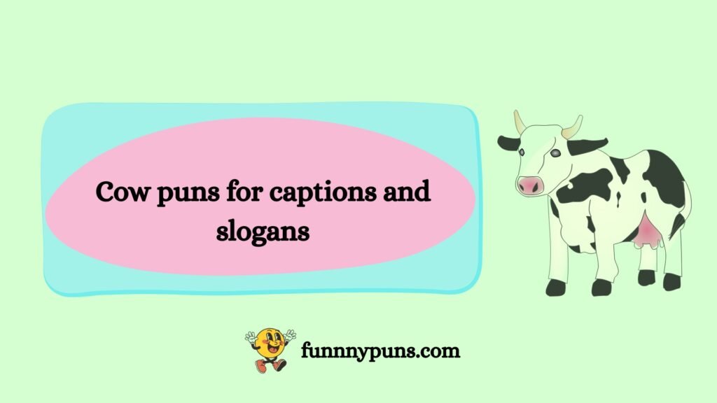Cow puns for captions and slogans