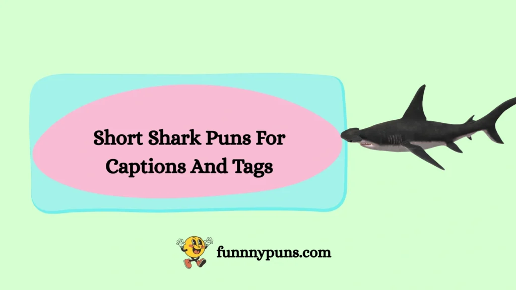 Short Shark Puns For Captions And Tags