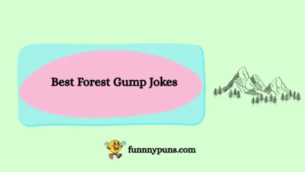 150+ Best Forest Gump Jokes [2025 Trending Edition]