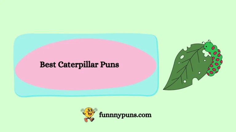 120+ Best Caterpillar Puns [2026 Trending Edition]