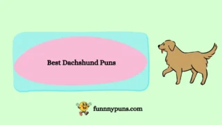120+ Best Dachshund Puns 2026 Trending & Top Edition