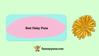 120+ Best Daisy Puns (2026 Trending & Top Floral Edition)