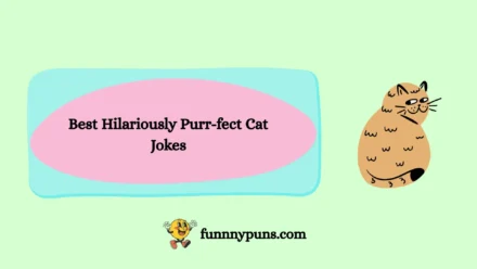 120+ Best Hilariously Purr-fect Cat Jokes 2026 Trending