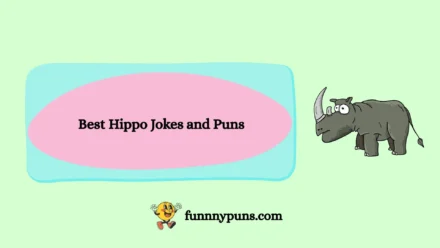 120+ Best Hippo Jokes and Puns (2026 Trending & Top Collection)