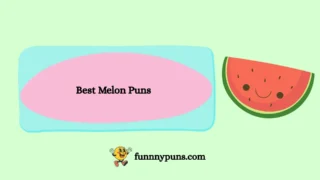 120+ Best Melon Puns (2026 Trending Edition)