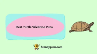 120+ Best Turtle Valentine Puns 2026 Trending Edition