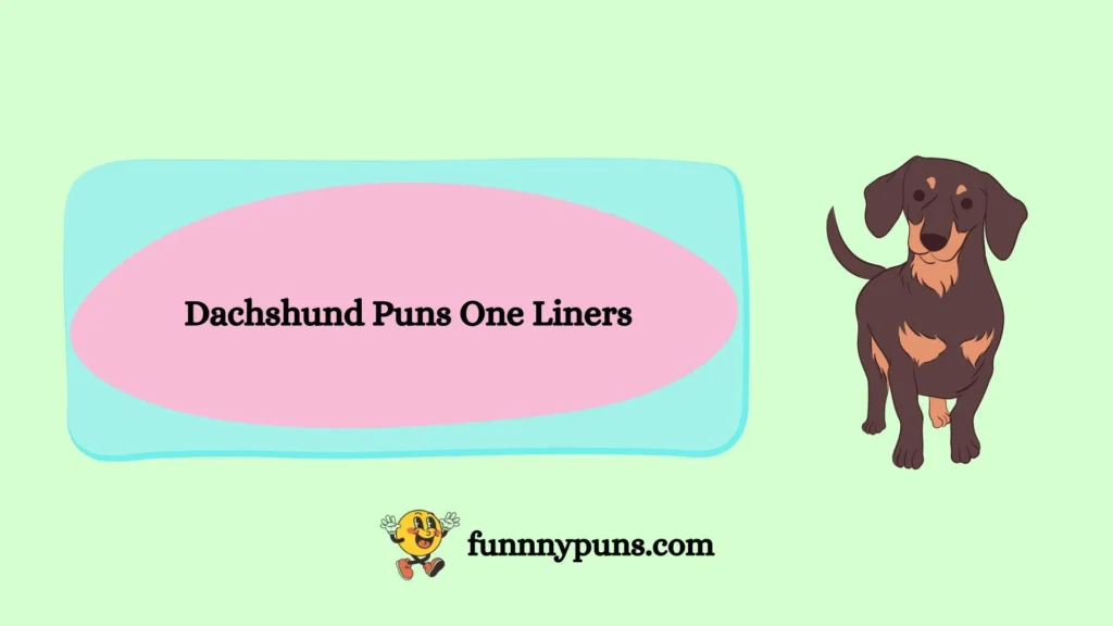 Dachshund Puns One Liners