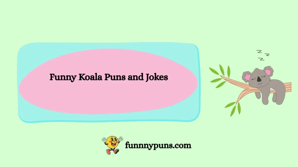 Funny Koala Puns and Jokes