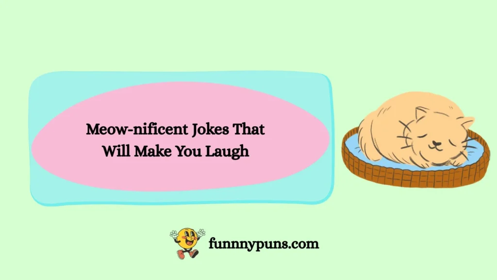 Meow-nificent Jokes That Will Make You Laugh