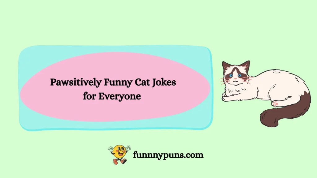 Pawsitively Funny Cat Jokes for Everyone