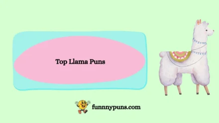 120+ Top Llama Puns| 2026 Trending Edition