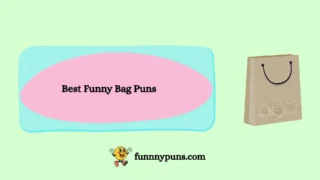 120+ Best [Funny Bag Puns] [2026 Trending Edition]