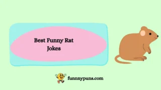120+ Best Funny Rat Jokes (2026 Trending Edition)