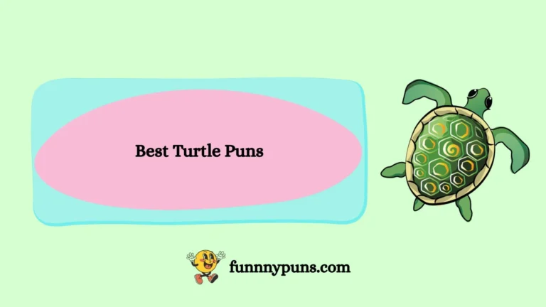 120+ Best Turtle Puns [2026 Trending Edition]