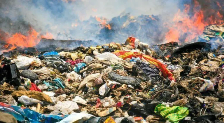 The Environmental Impact of Fast Fashion