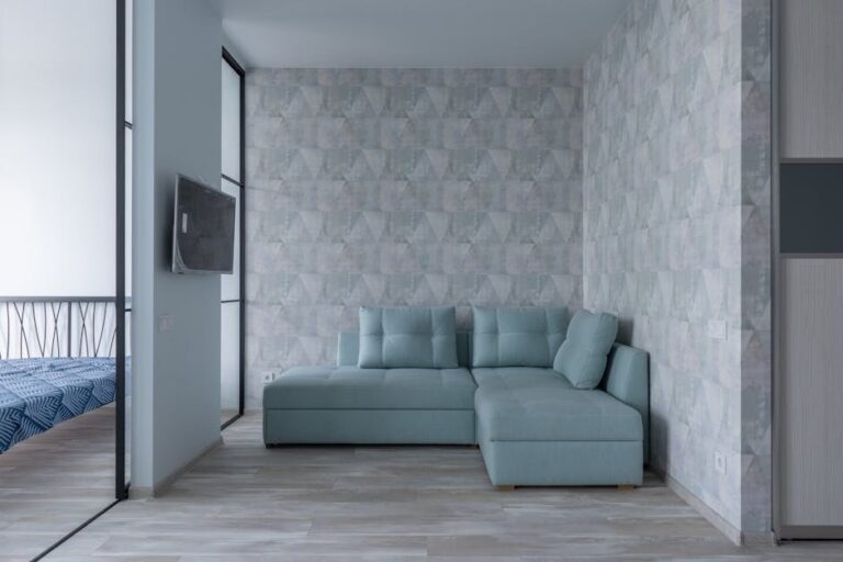 Transforming Spaces: The Elegance and Functionality of Modern Sofa Beds