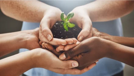 How to Build a Greener Business With Sustainable Practices